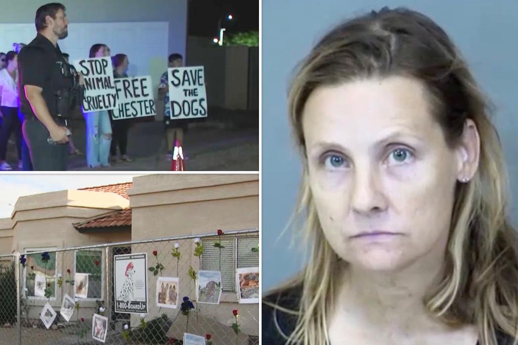 Shelter owner arrested after 55 dogs rescued from home in rancid conditions, more found dead in freezer