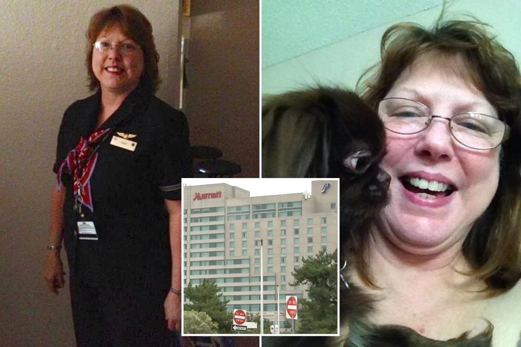 Sister-in-law of American Airlines flight attendant found dead in hotel room with ‘cloth’ in her mouth ‘shocked’ over her death