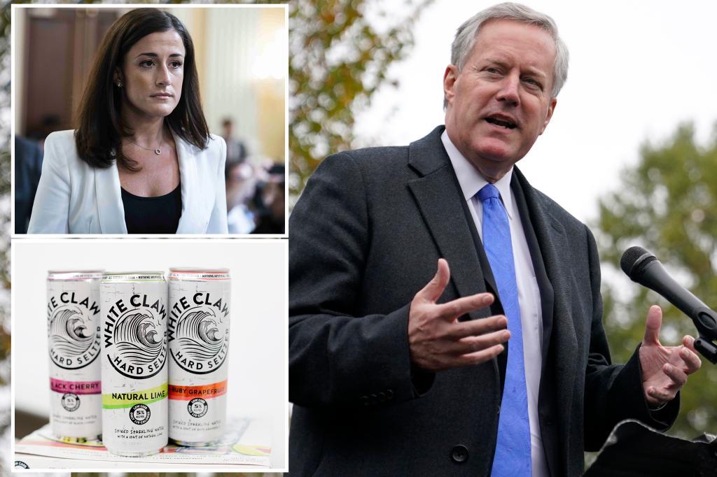 Teetotaler Mark Meadows accidentally got drunk on White Claws in morning meeting: book
