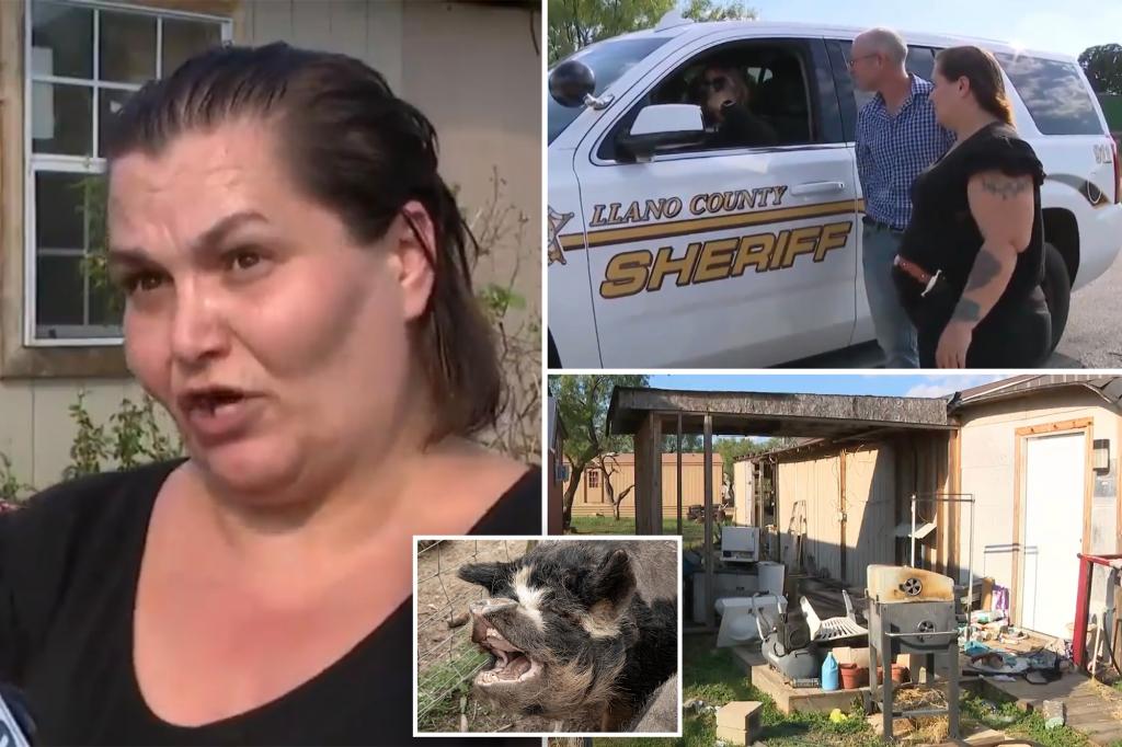 Texas family repeatedly attacked by out-of-control pig: ‘Prisoners in their own home’