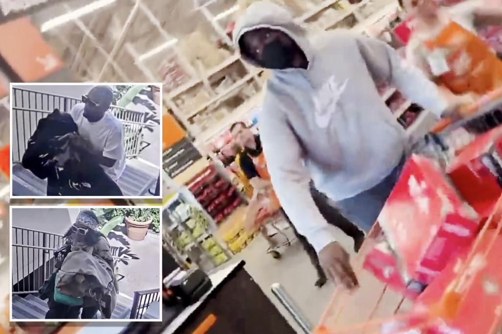 Thieves steal nearly $10K worth of goods in California in two separate incidents