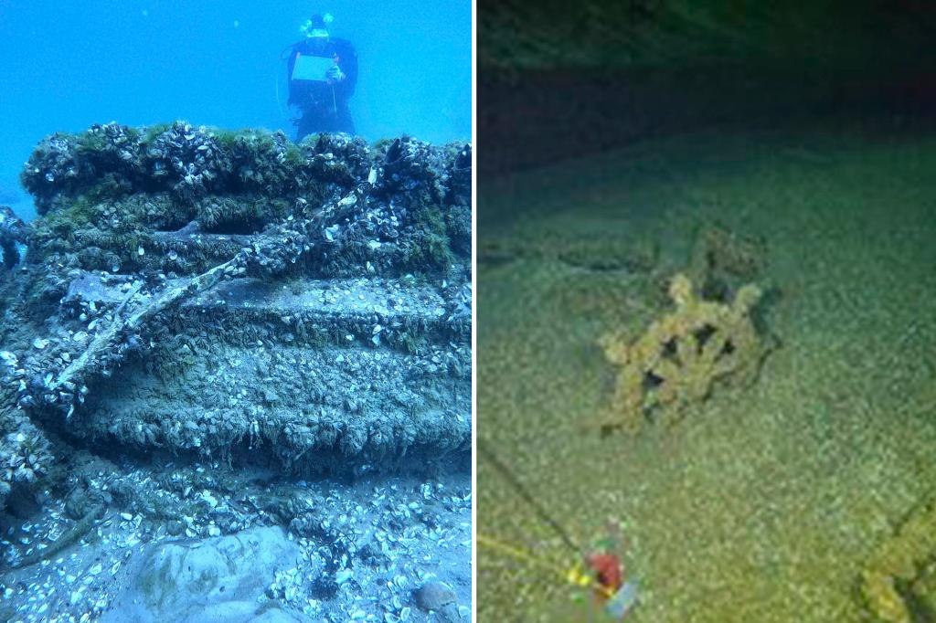 Thousands of historic shipwrecks in the US are being threatened by wood-destroying mussels