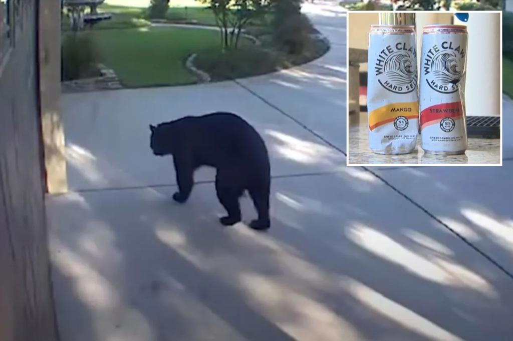 Three-legged bear named ‘Tripod’ breaks into Florida home, guzzles three White Claws