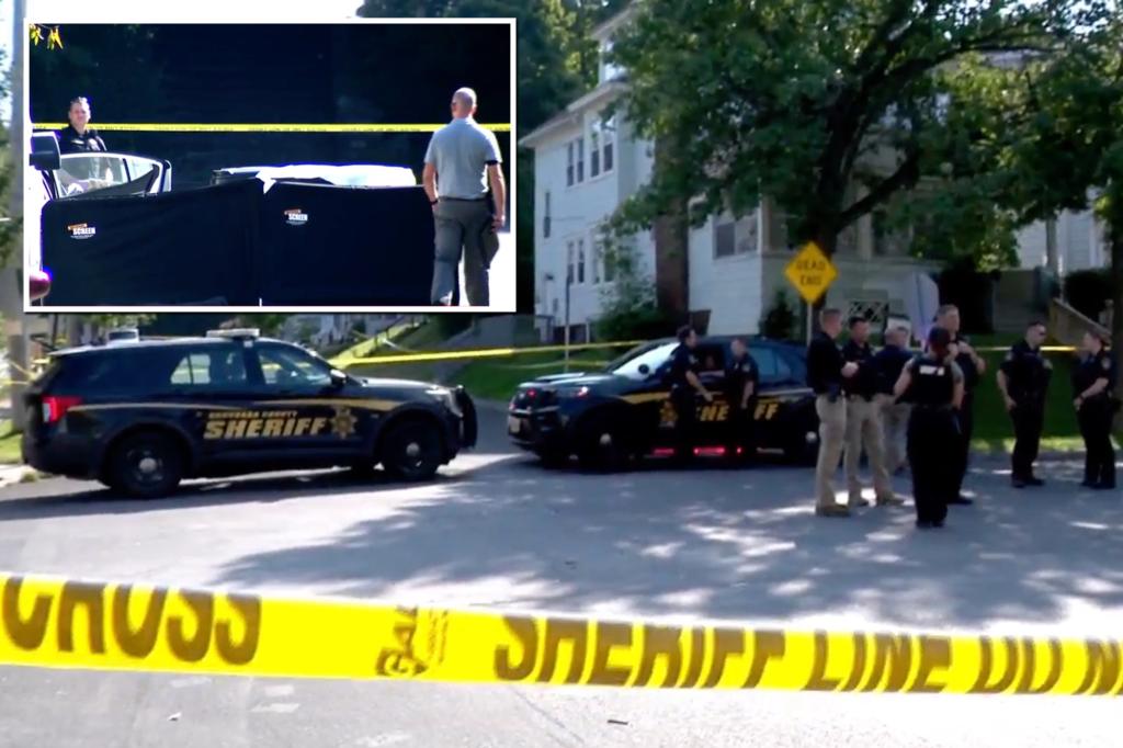 Two teens fatally shot by Syracuse deputy while trying to run him down in stolen car: sheriff