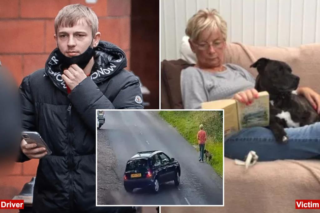 UK driver, 20, avoids jail time for running over pedestrian, killing dog