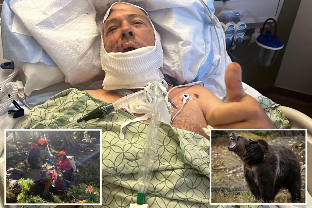 Veteran has jaw torn off by grizzly bear he tried to stop with bare hands