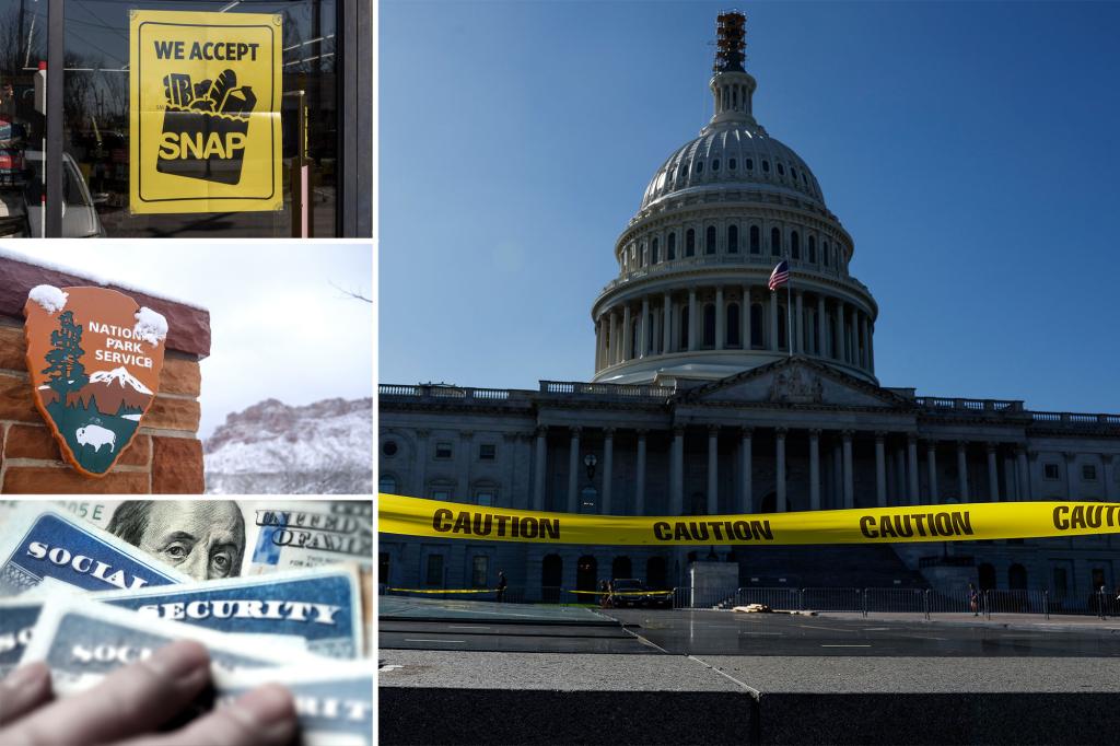 What happens when the federal government shuts down?