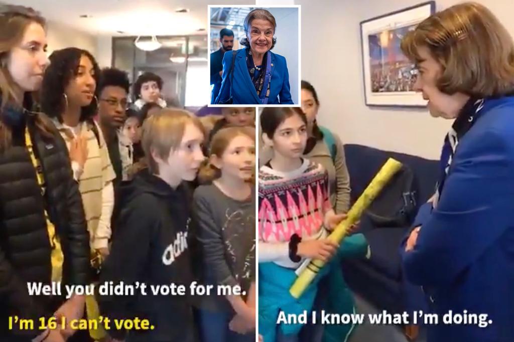 When Dianne Feinstein scolded kiddie climate activists: ‘You didn’t vote for me’