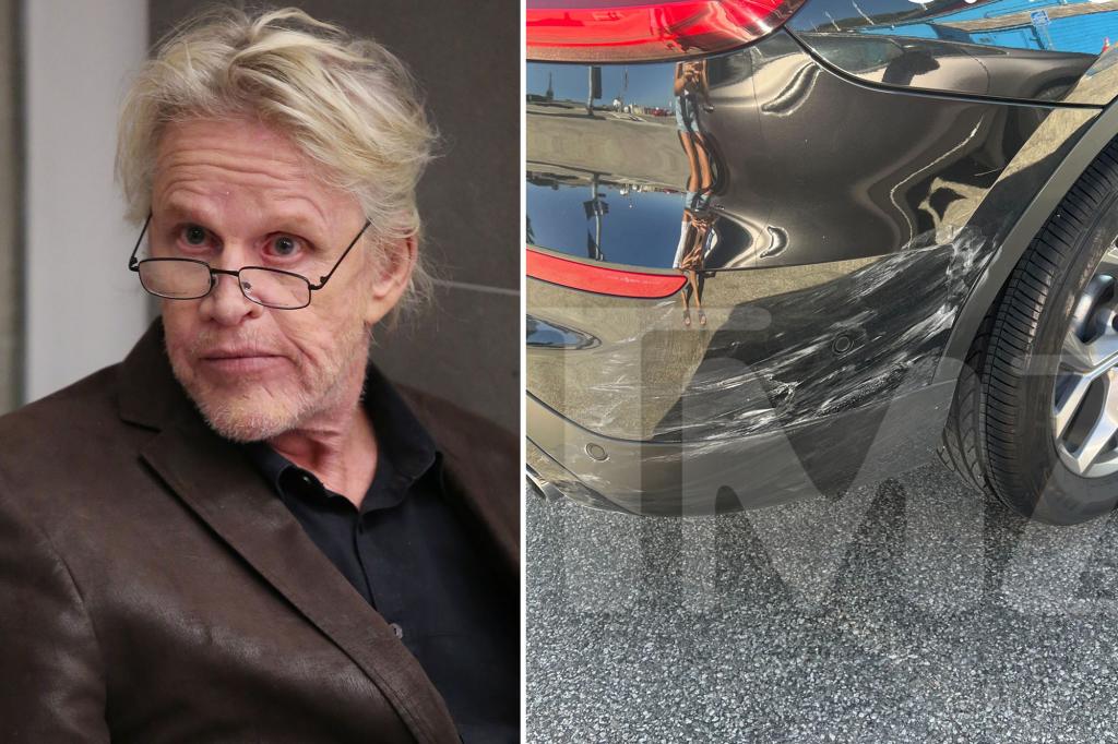 Woman chases, confronts Gary Busey after alleged hit-and-run in Malibu, wild video shows
