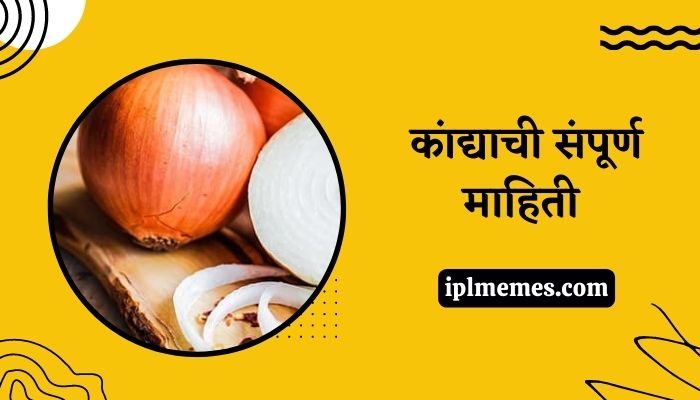Onion Information in Marathi