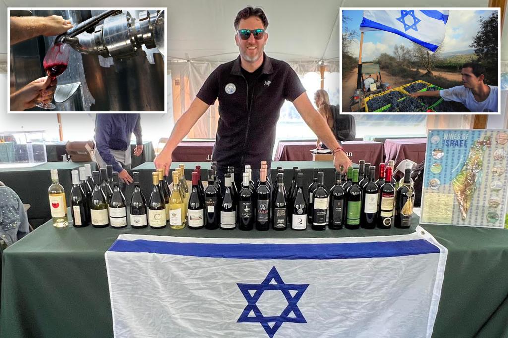 Americans urged to buy Israeli wine to aid Jewish relief efforts: ‘Sip for Solidarity’: