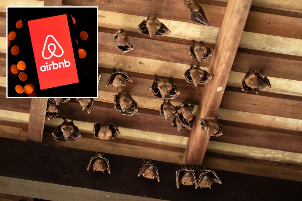Bat infestation turned Airbnb rental into ‘house of horrors,’ suit claims