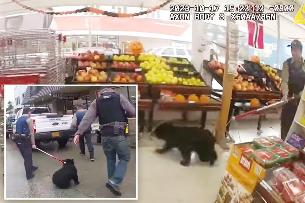 Bear cub runs wild in Alaskan grocery store: video