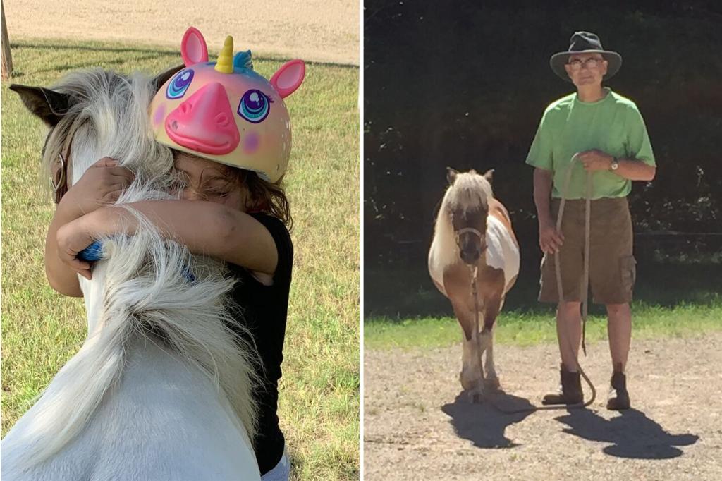 Beloved miniature horse found dead with arrow in her chest