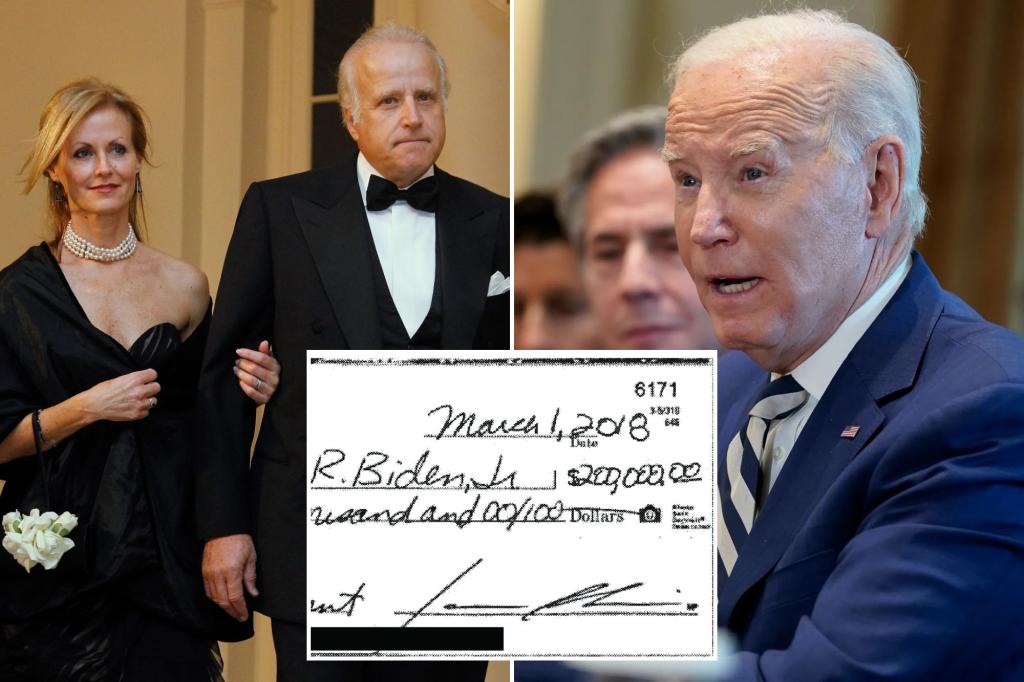 Biden’s brother paid him $200K while seeking Mideast investor for hospital firm