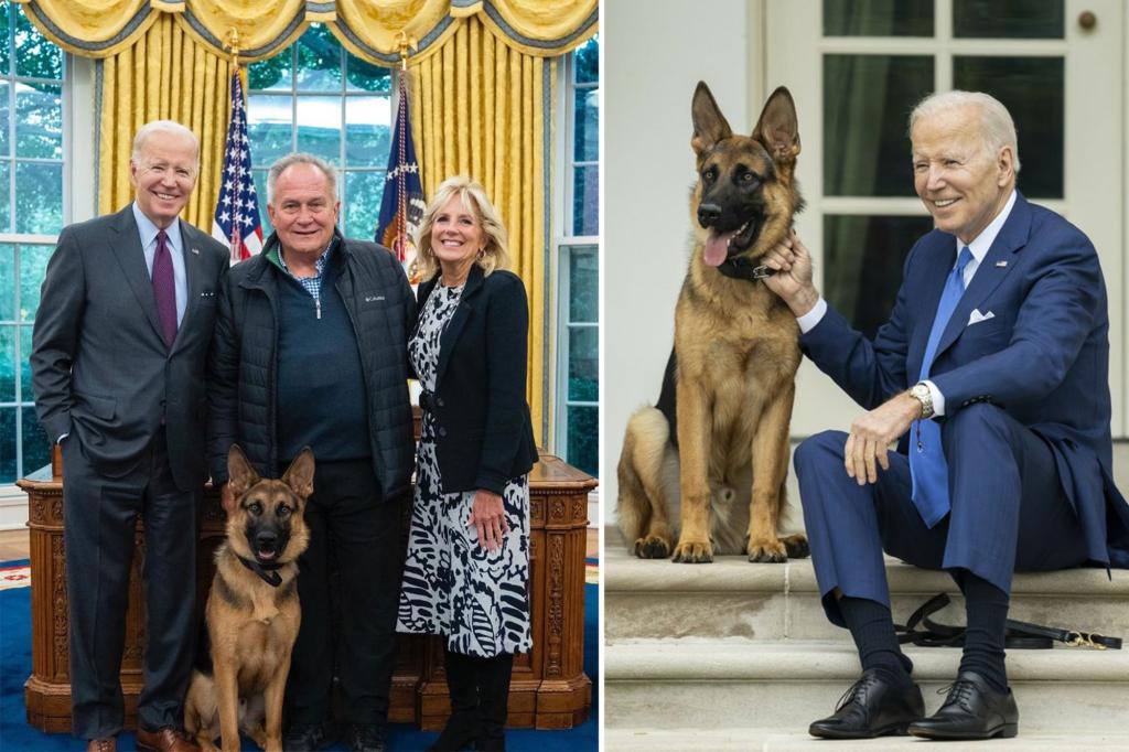 Biden’s dog Commander booted from ‘hostile’ White House as staff sound alarm over more attacks: ‘We have to speak up’