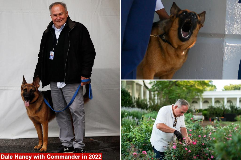 Biden’s dog Commander caught on camera biting groundskeeper — despite claims pooch only chomps on Secret Service