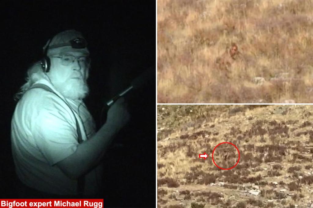 Bigfoot expert weighs in on Colorado footage, notices one surprising detail