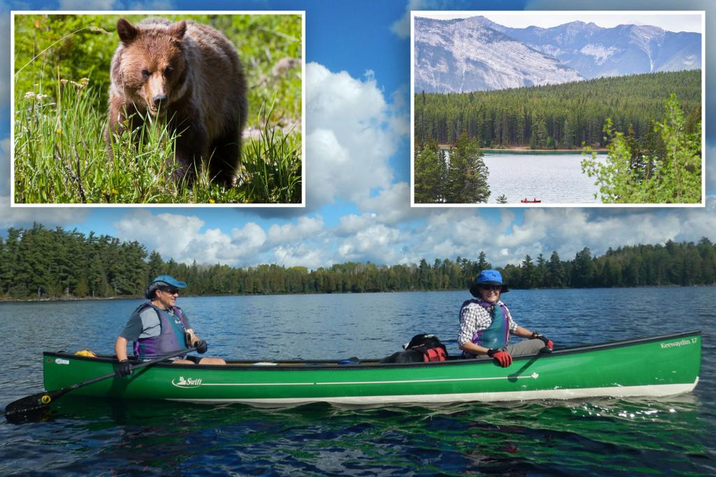 Canadian couple killed by ‘desperate’ grizzly bear were highly skilled hikers who ‘took every precaution’: friends