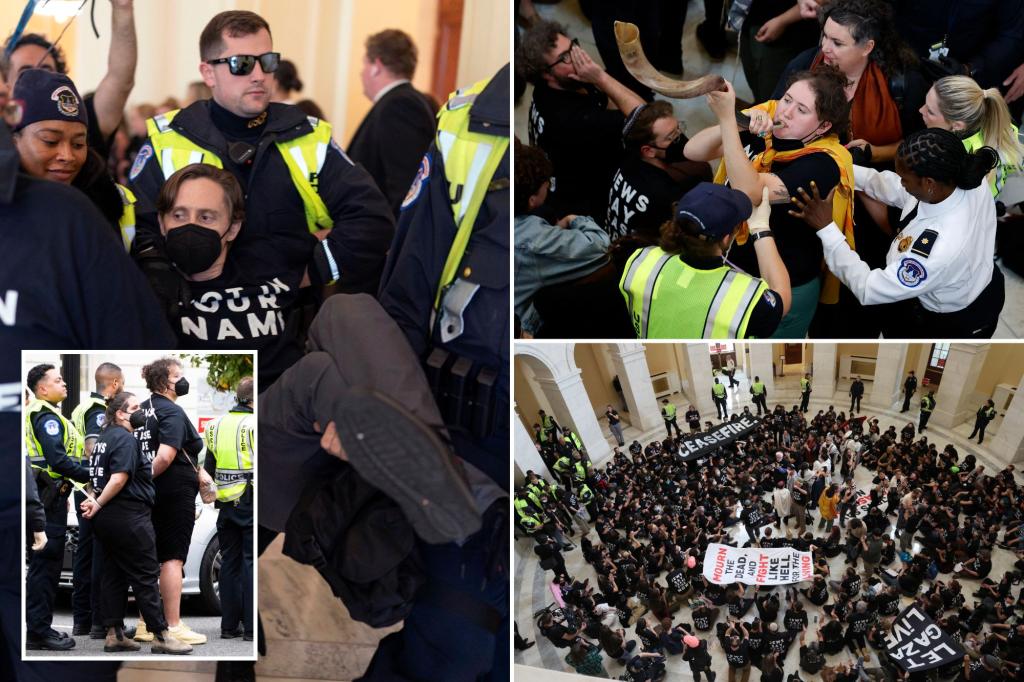 Chaos erupts as pro-Palestinian protesters demand ceasefire at the Capitol; at least 3 allegedly assault cops