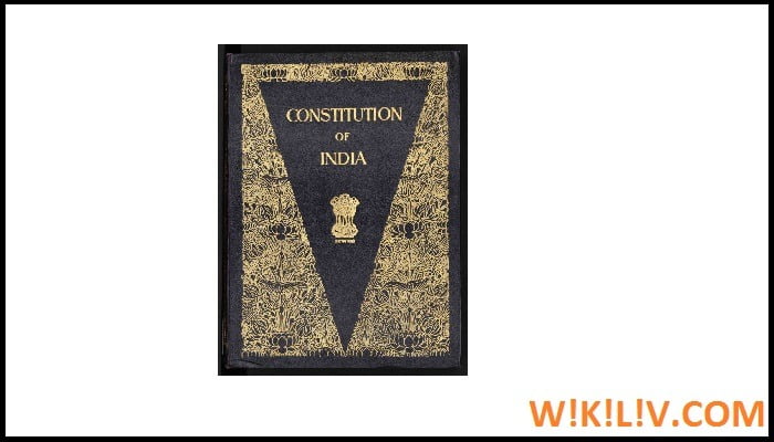 essay on constitution of india in 1000 words