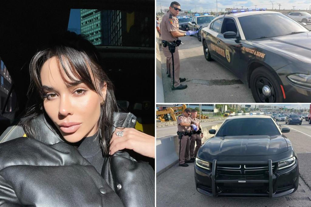 Florida influencer busted for tricking out Dodge Charger to resemble police cruiser