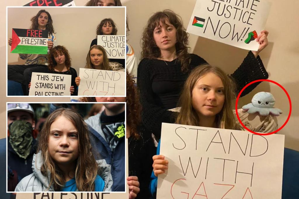 Greta Thunberg deletes pro-Palestinian post featuring antisemitic trope, claims she ‘was completely unaware’