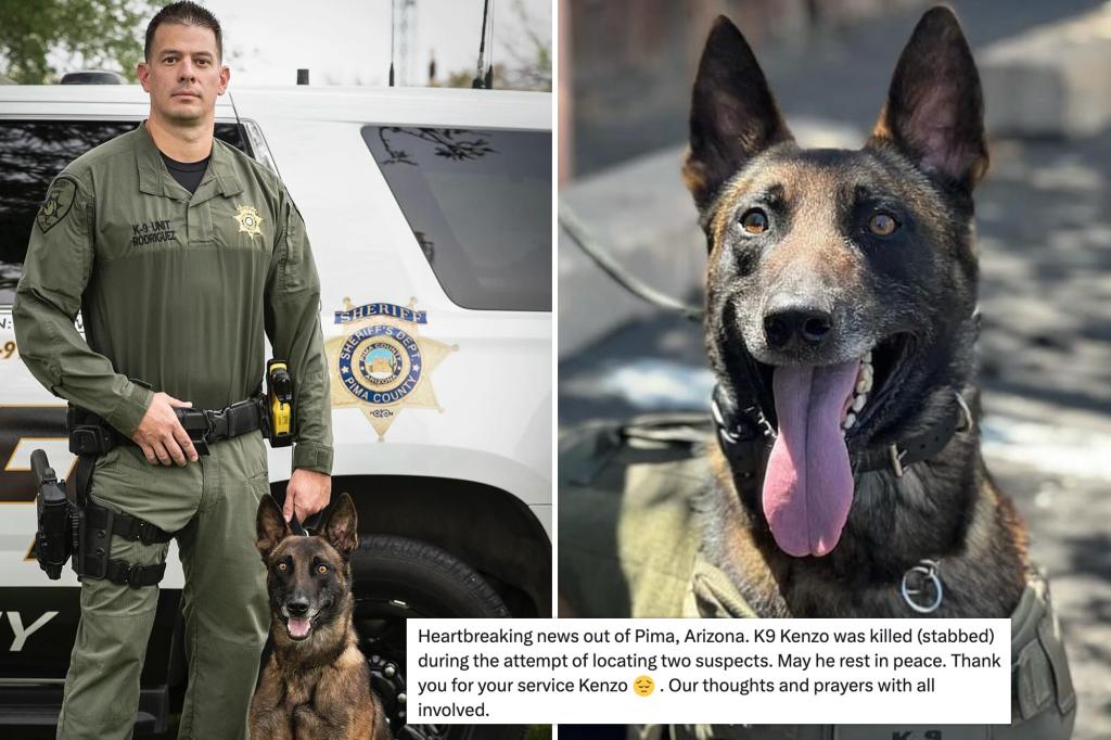 Hero police dog stabbed to death by suspected armed robber in Arizona
