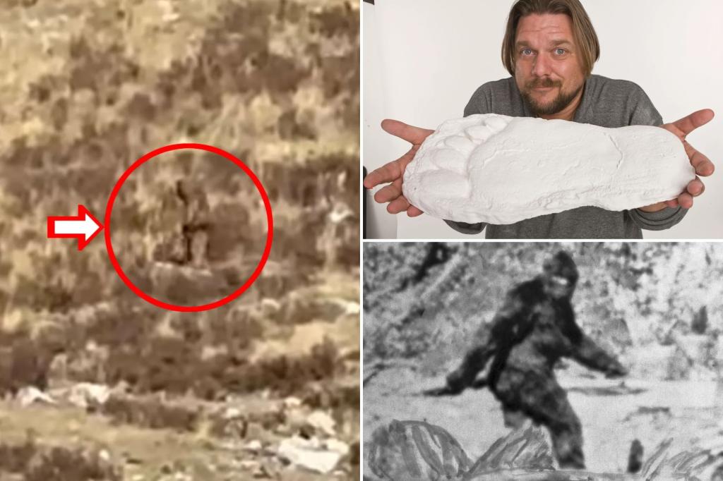 Inside the myth of Bigfoot: Fire-red eyes, ‘putrid’ stench and bizarre ‘taser’ powers