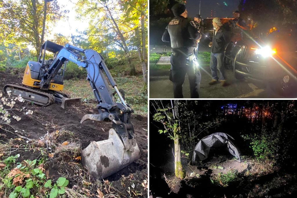 Man allegedly stole excavator to build himself a house in public Seattle park