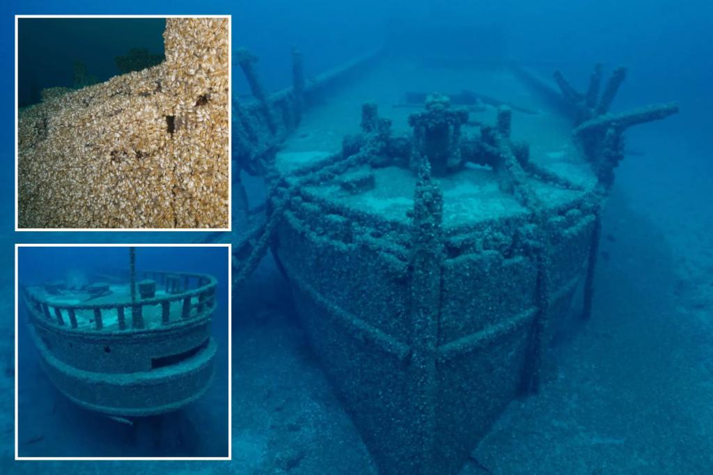 Missing shipwreck found after 128 years thanks to invasive species of mussels