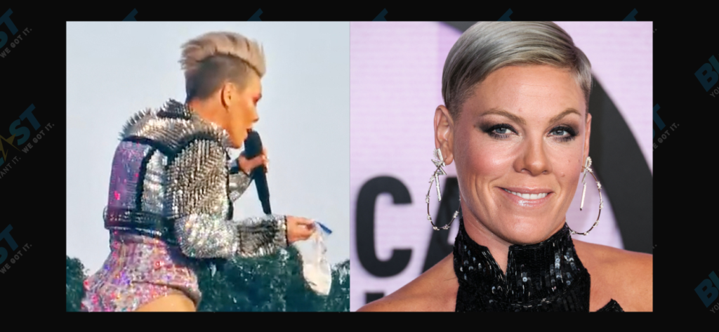 Pink Left SHOCKED After Fan Threw Mother’s Ashes At Her During Concert!