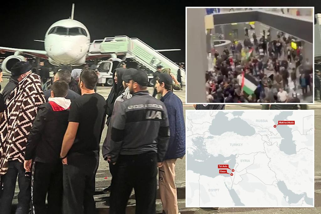 Pro-Palestinian mobs force flight from Israel to Russia to be diverted â and target next airport where it landed, too