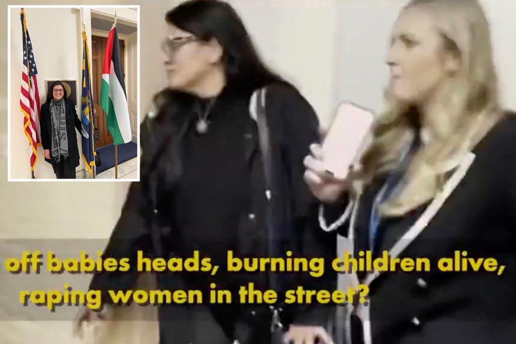 Rep. Rashida Tlaib repeatedly ignores reporter questions about Hamas ‘chopping off babies’ heads’