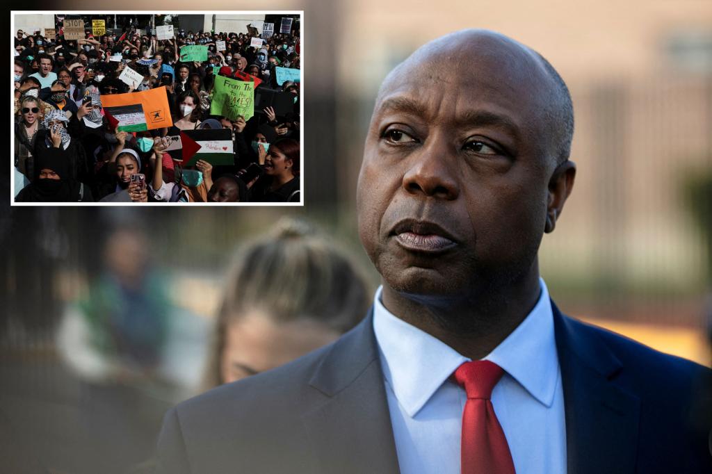 Sen. Tim Scott calls for the deportation of foreign students supporting HamasÂ 