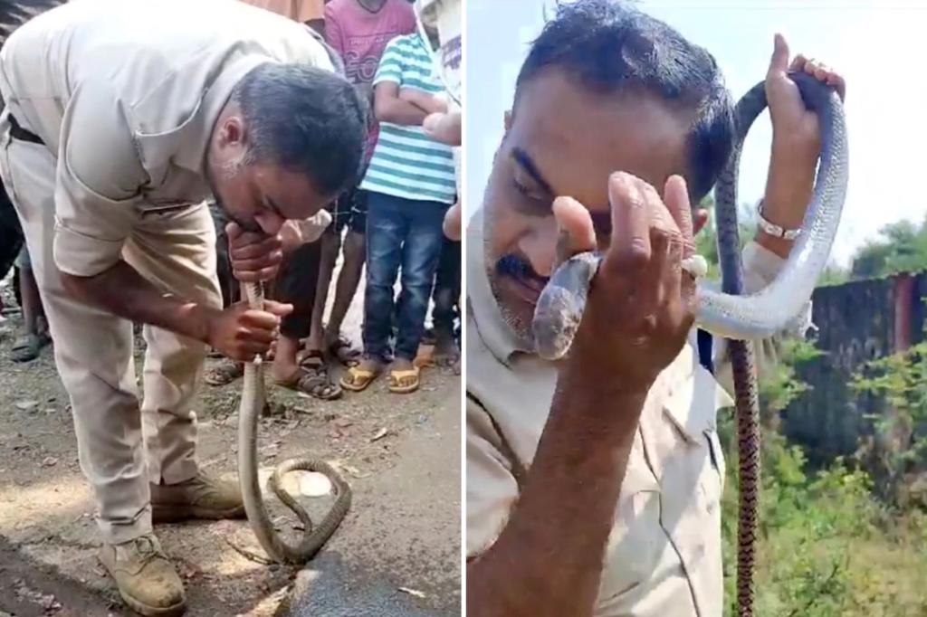 Shocking moment Indian officer attempts CPR on poisoned snake