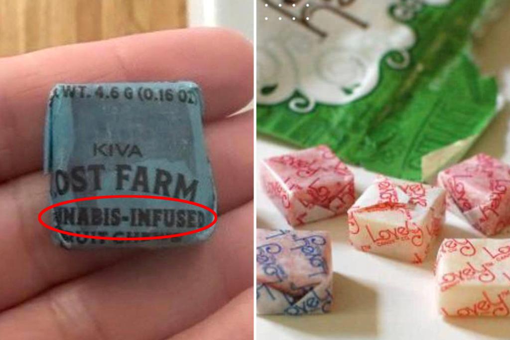 Student eats THC-infused candy handed out at California school Halloween event