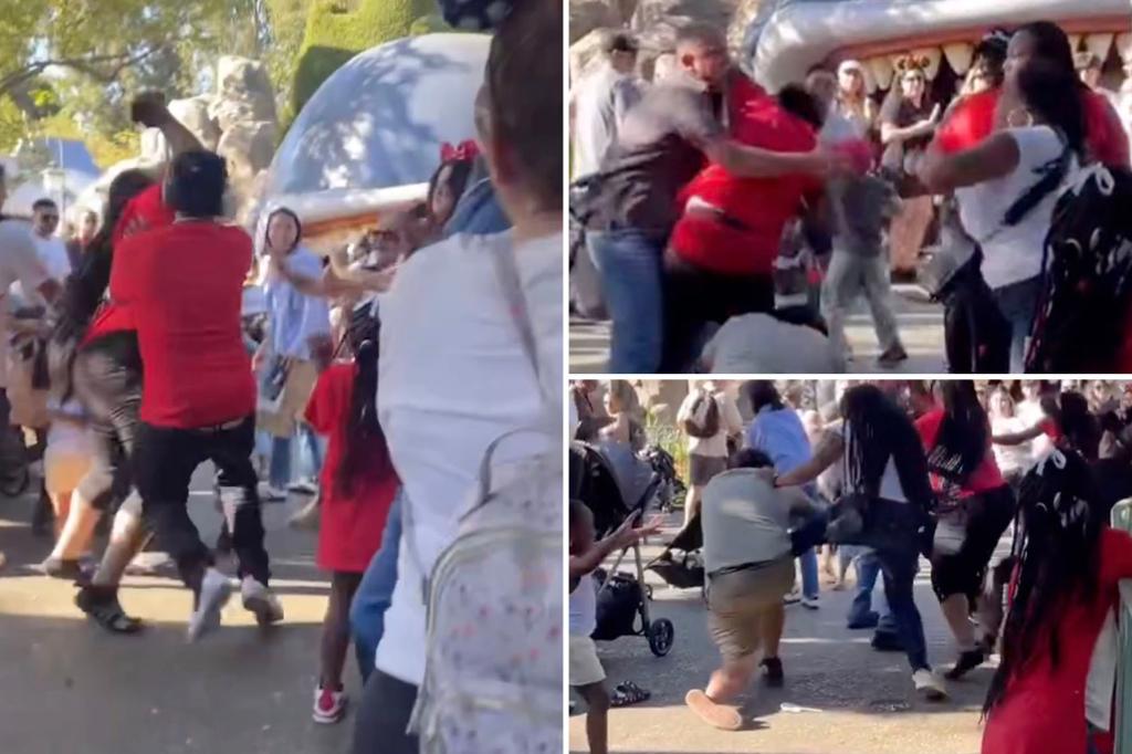 Wild Disneyland brawl erupts with kids, strollers caught in the middle