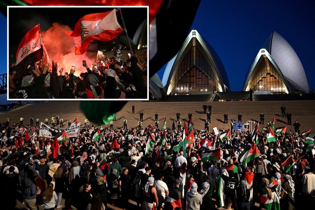 ‘Reprehensible’ anti-Israel protesters chant ‘Gas the Jews’ outside Sydney Opera House: video