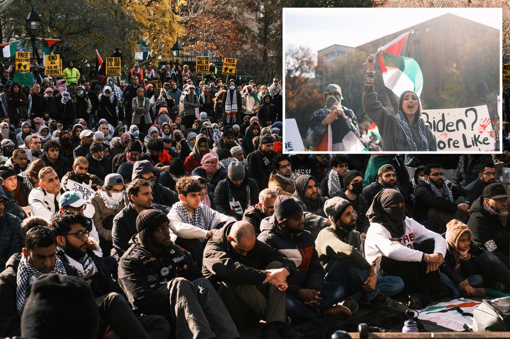 Around 2K pro-Palestinian protesters demand ‘permanent end to occupation’ of Gaza, dismantling of Israeli government in NYC’s Washington Square Park