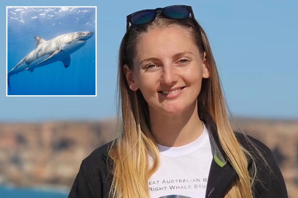 Australian diver, 32, bit in the face by shark, needed to have her teeth surgically removed: report