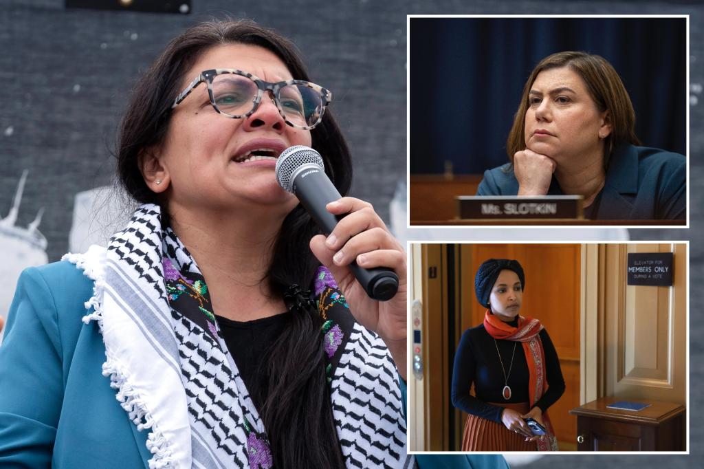 Dems scold lefty colleague Rashida Tlaib over Israel — as primary challengers line up against ‘The Squad’