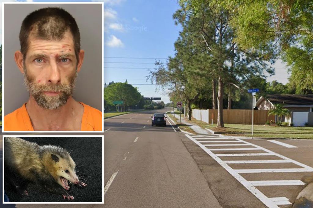 Florida man arrested for pooping on dead possum during rush hour traffic