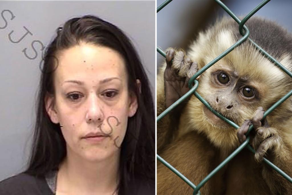 Florida woman arrested for conspiring to create sadistic ‘animal crush’ videos of monkey torture