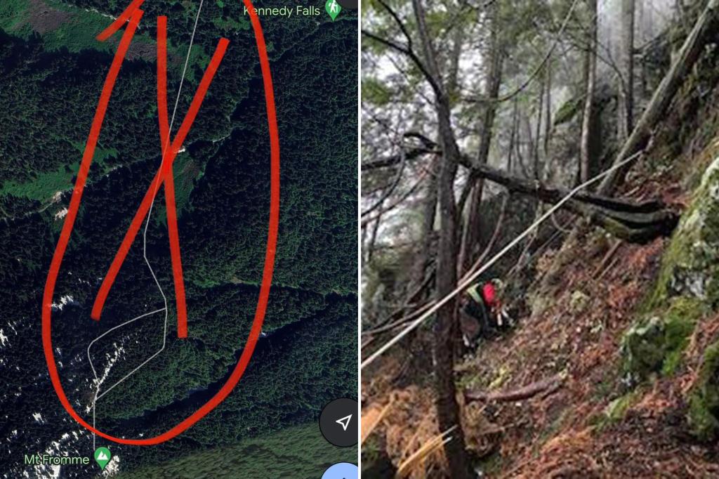 Hiker stranded on a cliff in Canada after following fake trail on Google Maps