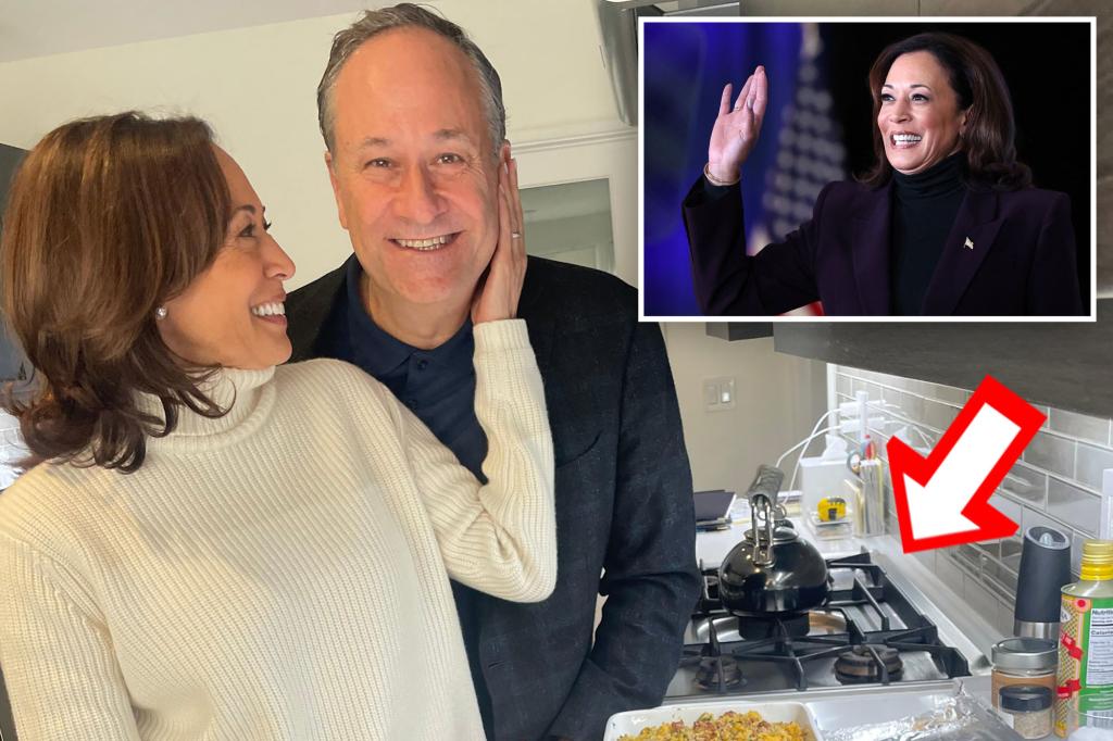 Kamala Harris roasted over Thanksgiving photo: ‘Gas stoves for me but not for thee’