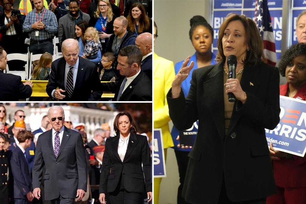 Kamala Harris says she and Biden will need to ‘earn our reelect’ with black voters in 2024