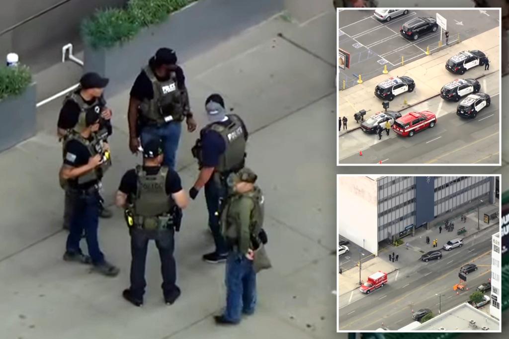 LAPD investigating deadly shooting possibly involving US Marshals: officials