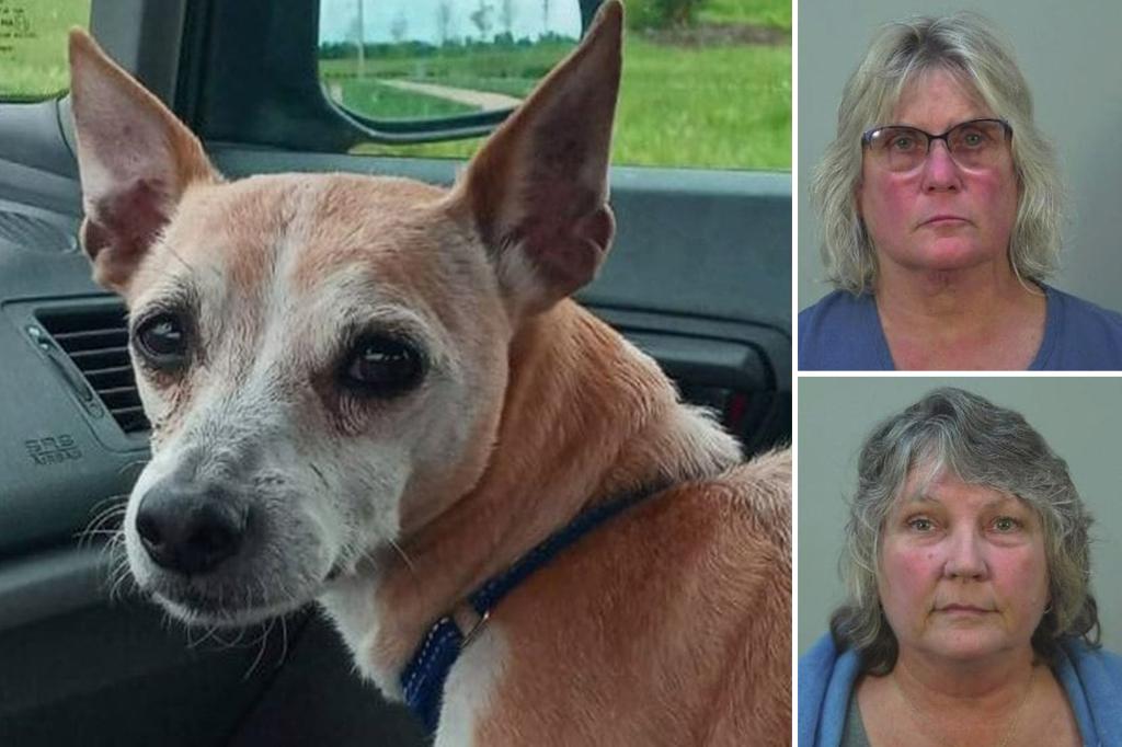 Landlords admit to stealing tenant’s dog in lease dispute — but a year later get no jail time and pooch still missing