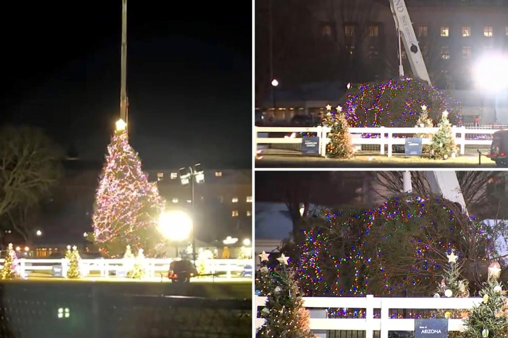 National Christmas Tree toppled by high winds outside the White House: ‘Perfectly summing up Joe Biden’s presidency’